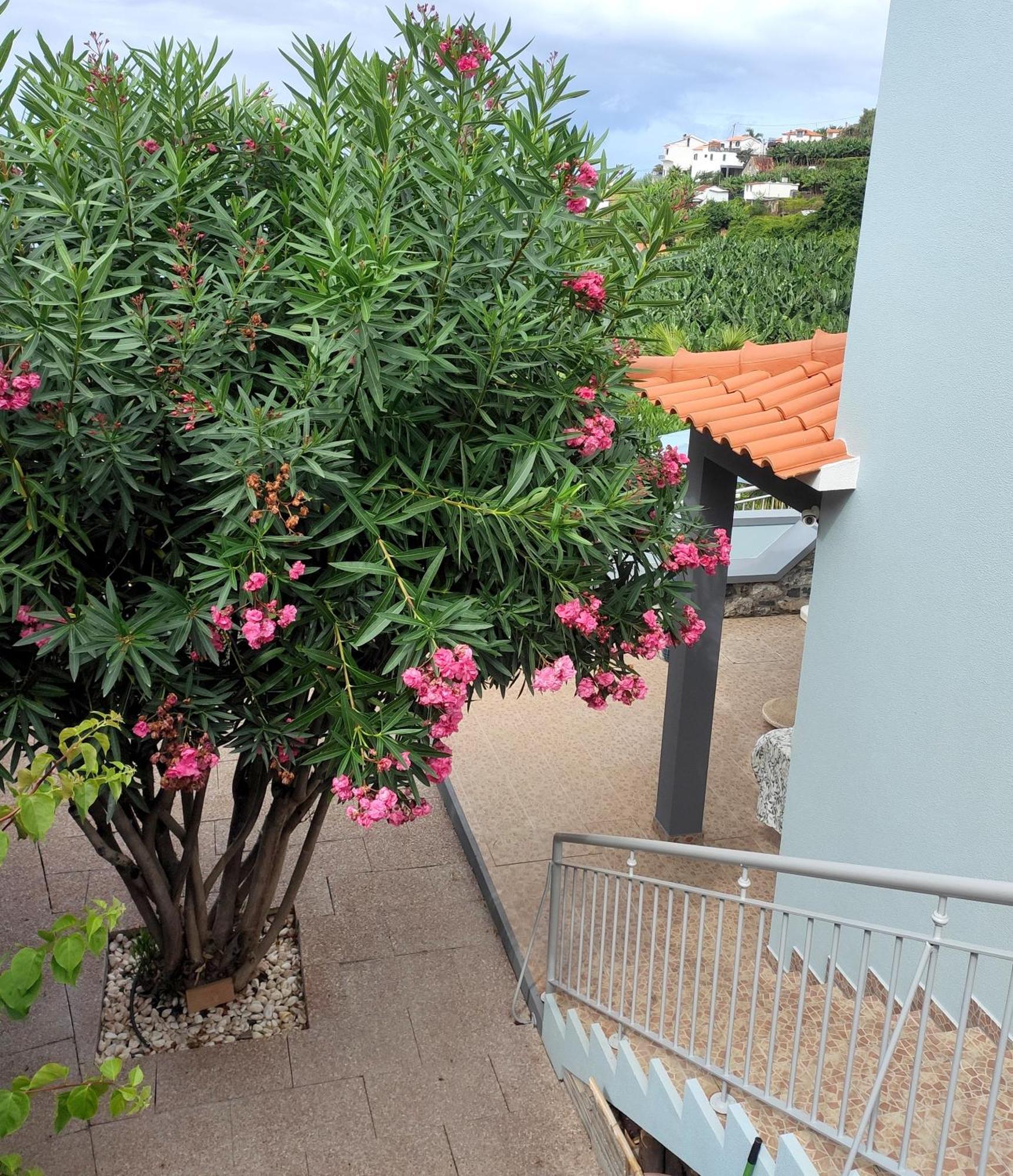 Bluegreen Arco da Calheta  Exterior foto